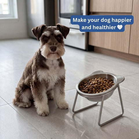 Orthopedic Feeding Bowl