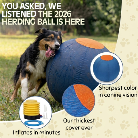 Valkyrie Herding Ball