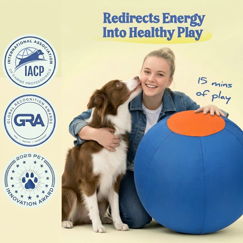 Valkyrie Herding Ball