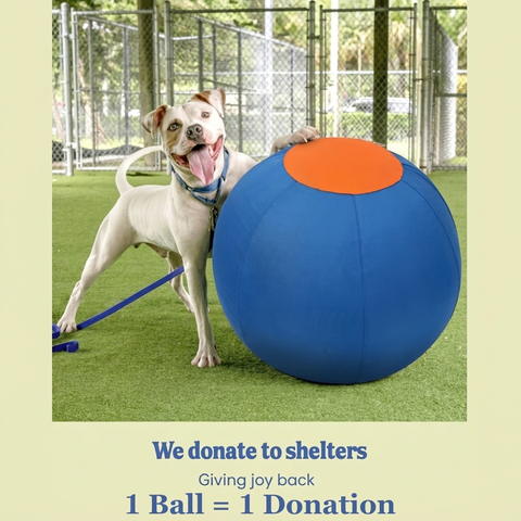 Valkyrie Herding Ball
