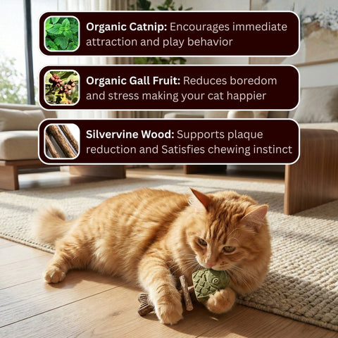 Catnip & Silvervine Chew