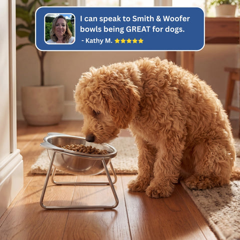 Orthopedic Feeding Bowl