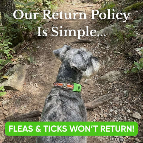 12 Months Flea - Tick Free