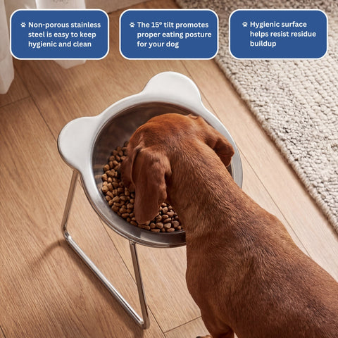 Orthopedic Feeding Bowl
