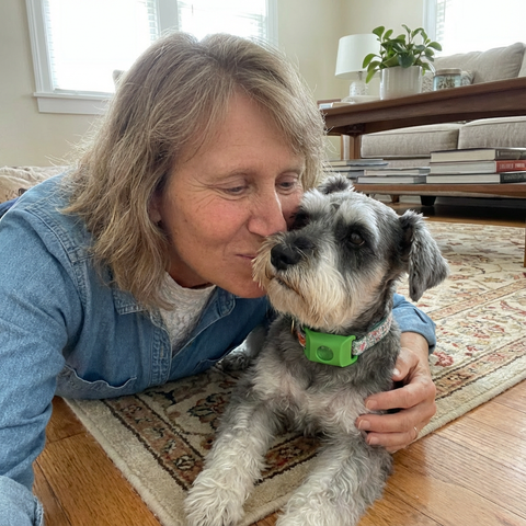 12 Months Flea - Tick Free