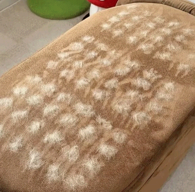 Glove-Remove All Pet Hair in One Swipe