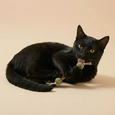 Organic Dental Chew