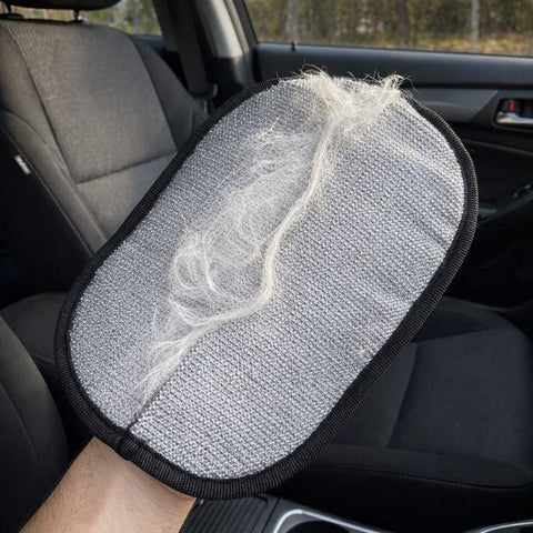 Glove-Remove All Pet Hair in One Swipe